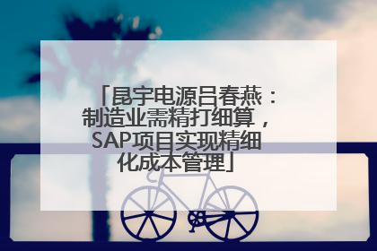 昆宇电源吕春燕：制造业需精打细算，SAP项目实现精细化成本管理