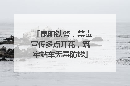 昆明铁警：禁毒宣传多点开花，筑牢站车无毒防线