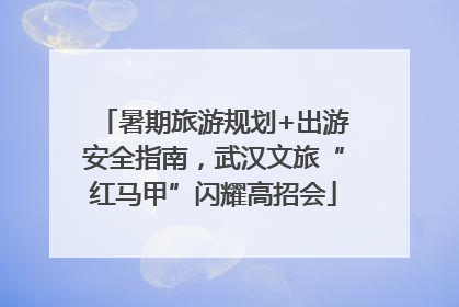 暑期旅游规划+出游安全指南，武汉文旅“红马甲”闪耀高招会