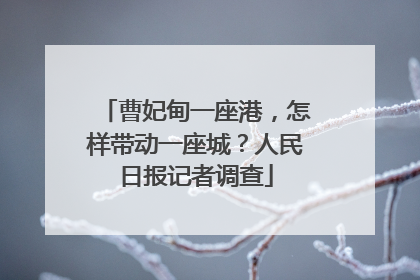 曹妃甸一座港，怎样带动一座城？人民日报记者调查