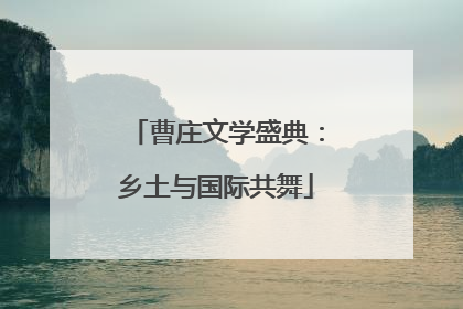 曹庄文学盛典：乡土与国际共舞