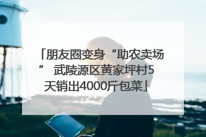 朋友圈变身“助农卖场” 武陵源区黄家坪村5天销出4000斤包菜