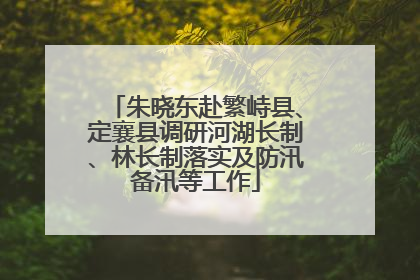 朱晓东赴繁峙县、定襄县调研河湖长制、林长制落实及防汛备汛等工作