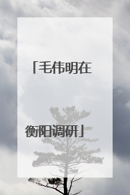 毛伟明在衡阳调研