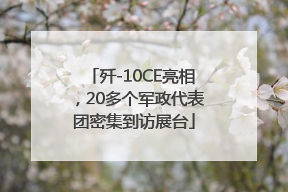 歼-10CE亮相，20多个军政代表团密集到访展台