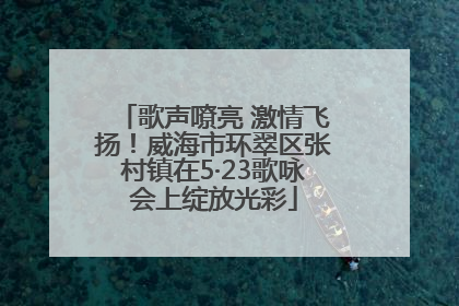 歌声嘹亮 激情飞扬！威海市环翠区张村镇在5·23歌咏会上绽放光彩