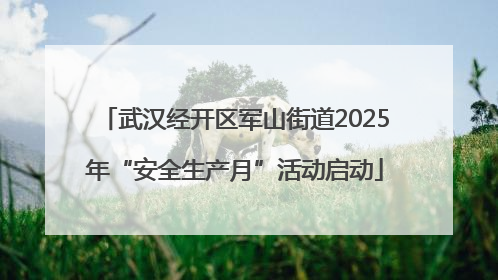 武汉经开区军山街道2025年“安全生产月”活动启动