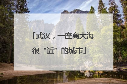 武汉，一座离大海很“近”的城市