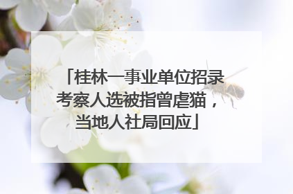 桂林一事业单位招录考察人选被指曾虐猫，当地人社局回应