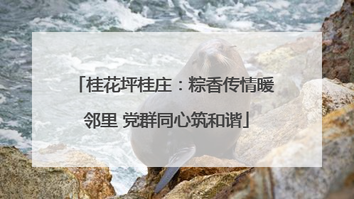 桂花坪桂庄：粽香传情暖邻里 党群同心筑和谐