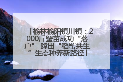 榆林榆阳镇川镇：2000斤蟹苗成功“落户” 蹚出“稻蟹共生”生态种养新路径