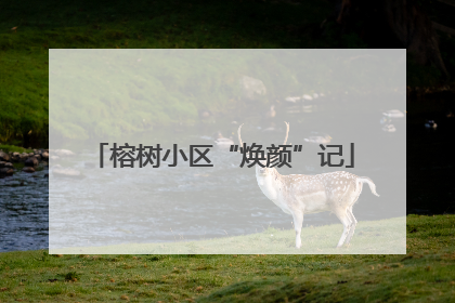 榕树小区“焕颜”记