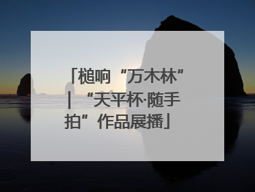槌响“万木林”｜“天平杯·随手拍”作品展播