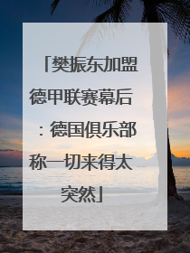 樊振东加盟德甲联赛幕后：德国俱乐部称一切来得太突然