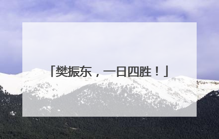樊振东，一日四胜！
