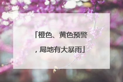 橙色、黄色预警，局地有大暴雨