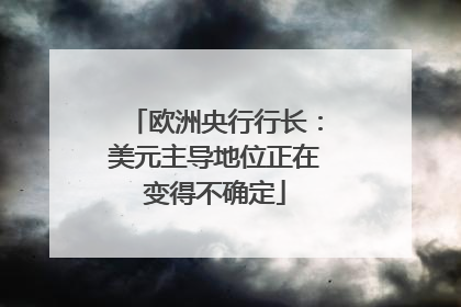 欧洲央行行长：美元主导地位正在变得不确定
