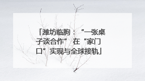 潍坊临朐：“一张桌子谈合作” 在“家门口”实现与全球接轨