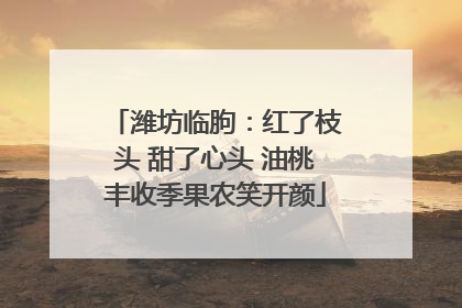 潍坊临朐：红了枝头 甜了心头 油桃丰收季果农笑开颜