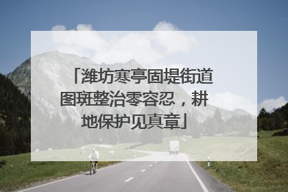 潍坊寒亭固堤街道图斑整治零容忍，耕地保护见真章