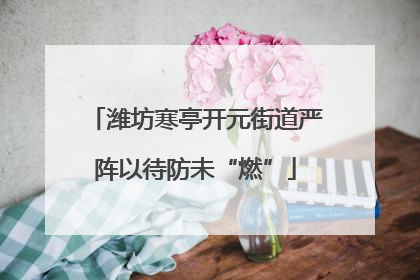 潍坊寒亭开元街道严阵以待防未“燃”