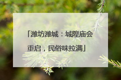 潍坊潍城：城隍庙会重启，民俗味拉满