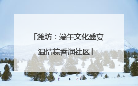 潍坊：端午文化盛宴 温情粽香润社区