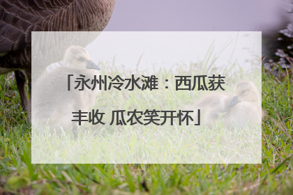 永州冷水滩：西瓜获丰收 瓜农笑开怀