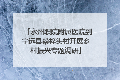 永州职院附属医院到宁远县桑梓头村开展乡村振兴专题调研