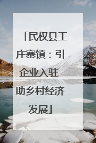 民权县王庄寨镇：引企业入驻 助乡村经济发展