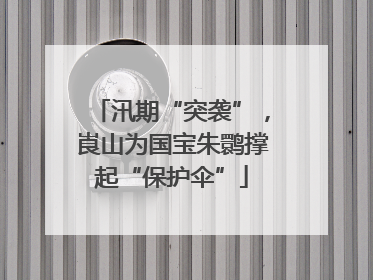 汛期“突袭”，崀山为国宝朱鹮撑起“保护伞”