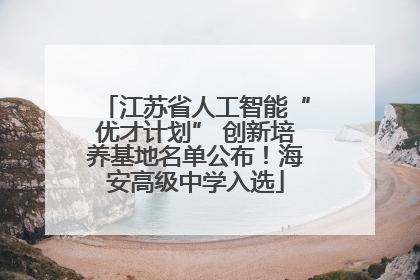 江苏省人工智能“优才计划” 创新培养基地名单公布！海安高级中学入选