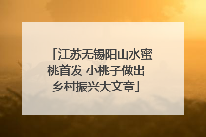 江苏无锡阳山水蜜桃首发 小桃子做出乡村振兴大文章