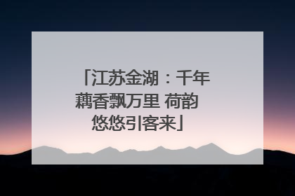 江苏金湖：千年藕香飘万里 荷韵悠悠引客来