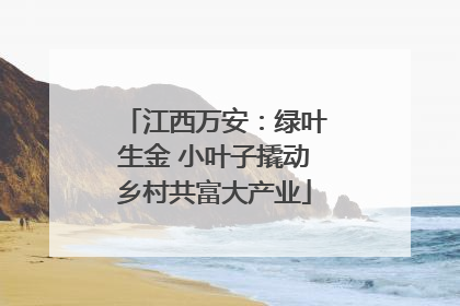 江西万安：绿叶生金 小叶子撬动乡村共富大产业