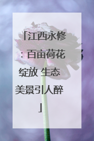 江西永修：百亩荷花绽放 生态美景引人醉