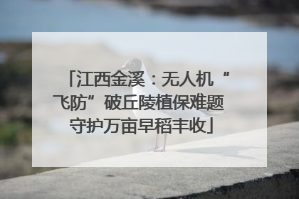 江西金溪：无人机“飞防”破丘陵植保难题 守护万亩早稻丰收