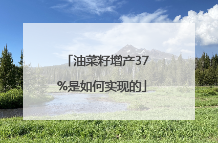 油菜籽增产37%是如何实现的