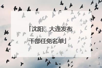 沈阳、大连发布干部任免名单