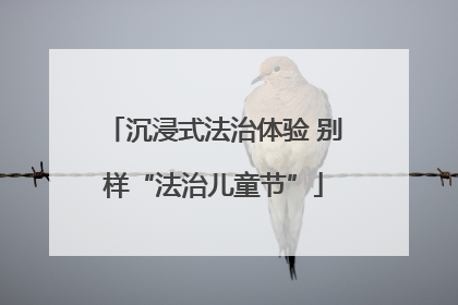 沉浸式法治体验 别样“法治儿童节”