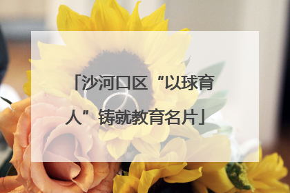 沙河口区“以球育人”铸就教育名片
