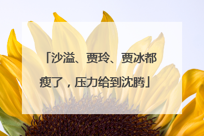 沙溢、贾玲、贾冰都瘦了，压力给到沈腾