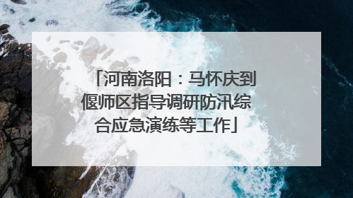 河南洛阳：马怀庆到偃师区指导调研防汛综合应急演练等工作