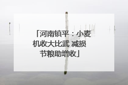 河南镇平：小麦机收大比武 减损节粮助增收