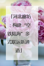 河北廊坊：构建“空铁陆海”多式联运新通道