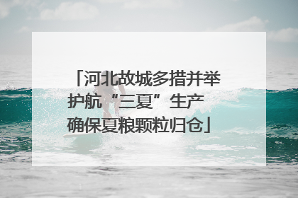 河北故城多措并举护航“三夏”生产 确保夏粮颗粒归仓