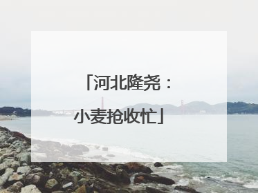 河北隆尧：小麦抢收忙