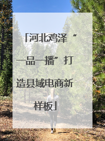 河北鸡泽“一品一播”打造县域电商新样板