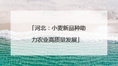 河北:小麦新品种助力农业高质量发展