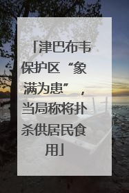 津巴布韦保护区“象满为患”，当局称将扑杀供居民食用